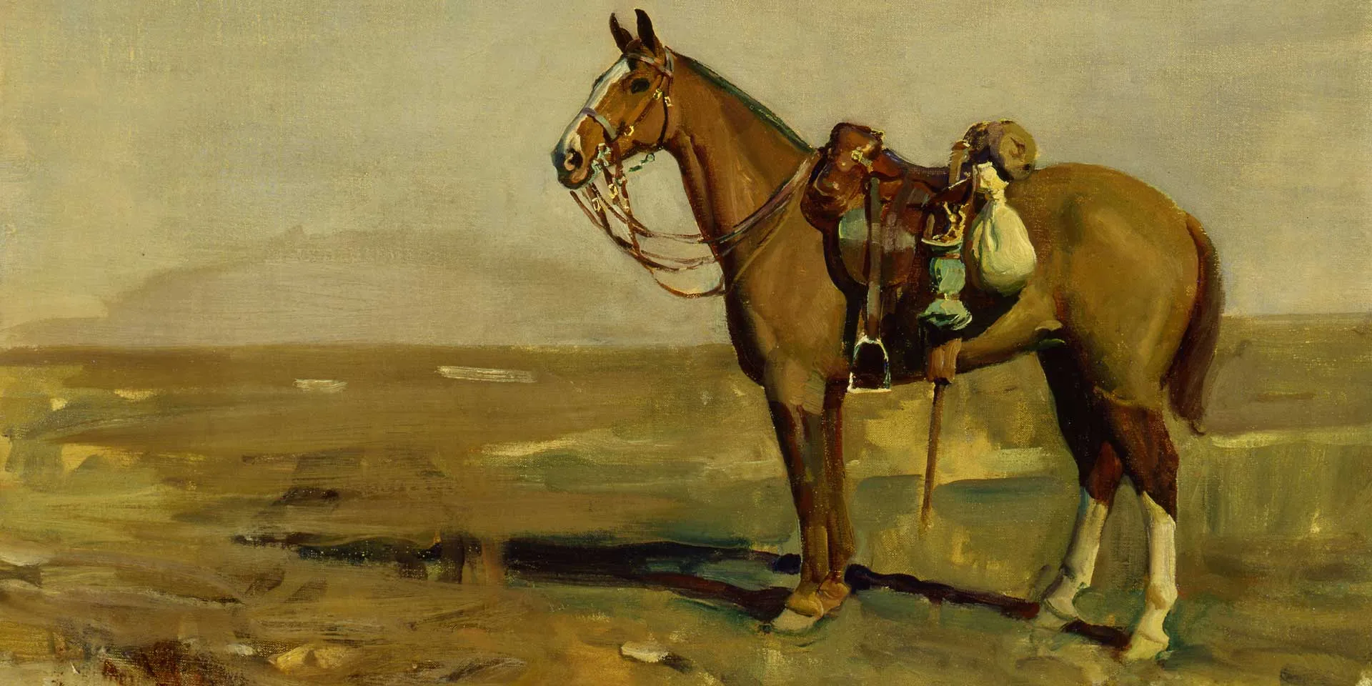 Brigadier-General Paterson's Mare 'Peggy', 1918